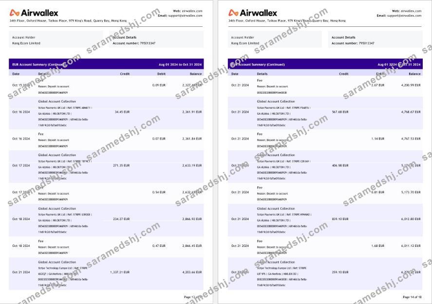 Hong Kong Airwallex Limited account statement, 18 pages 7